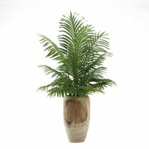 Hawaiian Palm Fronds in Vase
