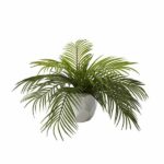 Hawaiian Palm in Planter