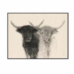 Cattle Comparisons Wall Art