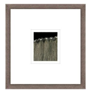 Horse Close Up II Wall Art