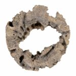 Tripp Brown Wall Decor