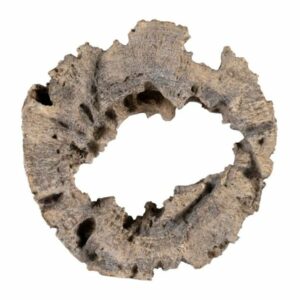 Tripp Brown Wall Decor