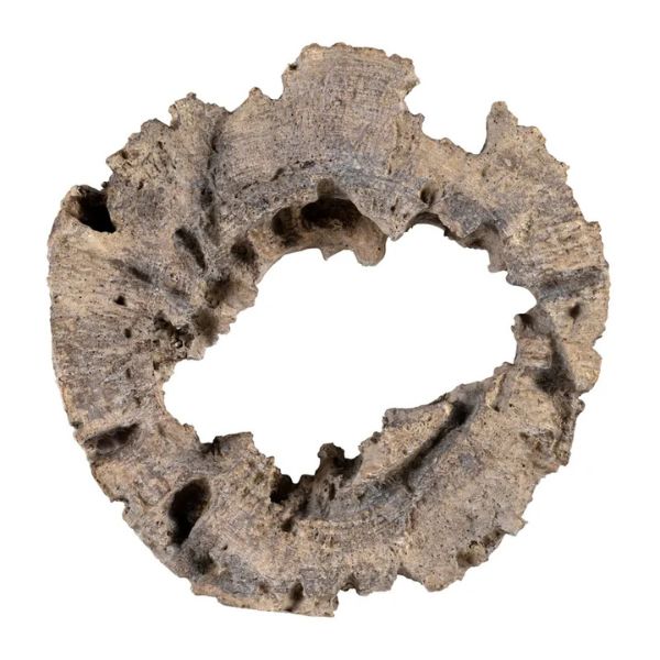 Tripp Brown Wall Decor