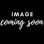 Southern Motion Rocker Power Headrest Recliner