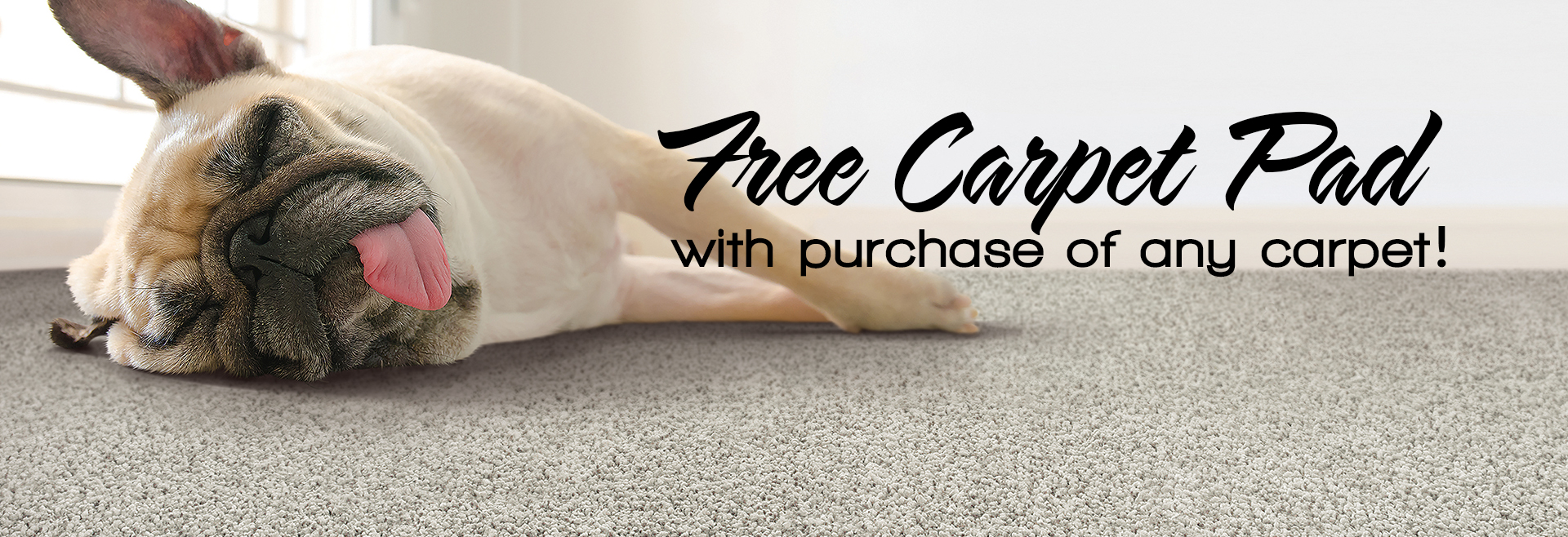 Free Carpet Pad | Vander Berg Furniture