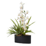 White Cymbidium Orchid and Stag Horn Fern in Oval Metal Planter