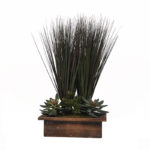 Onion Grass with Echeveria in Wood Rectangle Planter