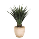 48″ Jumbo Agave Plant in Round Resin Planter