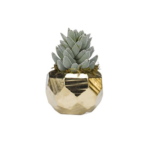 Flocked Aloe in Antique Gold Ceramic Planter