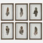 Birds of a Feather Framed Prints