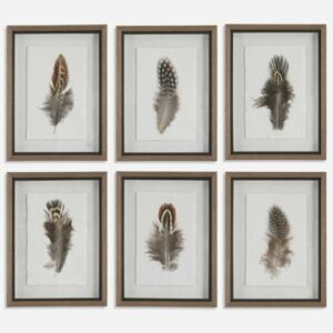 Birds of a Feather Framed Prints